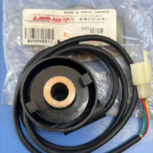 Reductor de velocidad Dsr200II electrónico (2015)